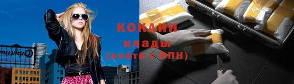 бошки Аркадак