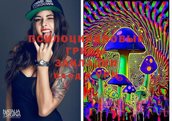 PSILOCYBIN Арсеньев