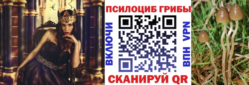 Галлюциногенные грибы Psilocybine cubensis MEGA ссылки Теберда